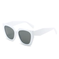 Modern white geometric polygonal sunglasses with wide temples and dark grey lenses - New Style / Standard (Incl. 13% VAT Invoice) White Frame Full Gray Lenses
