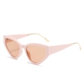 Pink cat-eye sunglasses with transparent lenses and sleek gold metal temples - One Size / Pink Frame Champagne Lens