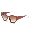Cat eye sunglasses with brown translucent frames and gold metal temples for women - One Size / Tea Frame Gradient Tea Lens