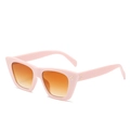 Occhiali da sole chic cat eye con montatura rosa chiaro e lenti sfumate arancioni - Montatura Rosa Lente Tè