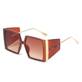 Oversized amber frame sunglasses with gradient tea lenses and slim golden metal temples - Tea Frame Gradient Tea Lens