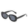 Minimalist black oval sunglasses with thick frames and dark grey lenses on white background - New Style / Standard (Incl. 13% VAT) Glossy Black Full Grey Lenses