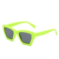 Neon green thick frame cat-eye sunglasses with dark grey lenses and wide temples - Green Frame Grey Lens