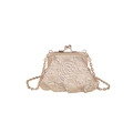 Elegant champagne gold lace evening bag with floral embroidery and chain strap - Khaki