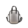 Silver metallic mini crossbody bag with black handles and adjustable shoulder strap - Silver