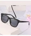 Detail view of black square sunglasses with decorative golden studs on the temple hinge - Matte Black Frame Solid Grey Lens