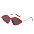 Trendige rote geometrische Sonnenbrille mit goldenen Metallbügeln und grauen Gläsern - Roter Rahmen Graue Gläser