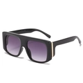 Oversized black frame sunglasses with purple gradient lenses and gold metal accents - One Size / Black Frame Double Gray Lens