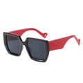 Square black sunglasses with contrasting red temples and high-quality dark grey lenses - Black Frame Grey Lens Red Legs