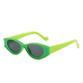 Retro oval sunglasses with vibrant two-tone green frame and dark grey lenses for women - Green Frame Grey Lens