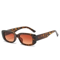 Lunettes de soleil rétro avec monture en écaille et verres teintés orange vif - Monture Léopard Verres Marron Dégradés
