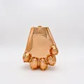 Elegante borsa da sera in acrilico oro rosa a forma di zampa di gatto con chiusura in metallo - Cachi (Oro Rosa)