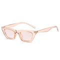 Cat eye sunglasses with translucent jelly orange frames and matching tinted lenses - Champagne Frame Light Tea Lens