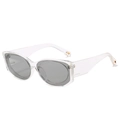 Modern square sunglasses with transparent frames and smoke grey lenses for women - Transparent Frame Grey Lens