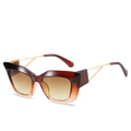 Cat-eye sunglasses with gradient amber frames and sleek gold metal temples - Tea Frame Gradient Tea Lens