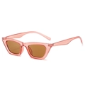 Modern narrow cat-eye sunglasses with transparent pink frame and brown lenses - Ready Stock / Standard - Pink Frame with Brown Lenses