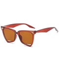 Lunettes de soleil œil-de-chat irrégulières avec monture ambre et détails dorés - Monture Thé Verres Thé