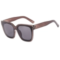Quadratische braune Sonnenbrille mit dunkelgrauen Gläsern und transparentem Rahmen - Transparentes Grau