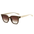 Fashionable square brown sunglasses with cream temples and gold rivet details - Coffee Frame Double Tea Lens