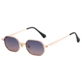Hexagonal rose gold metal sunglasses with purple gradient lenses and black temple tips - Regular / Standard (Incl. 13% Tax) Gold Frame Grey Brown Lenses