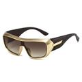 2025 Sports cycling sunglasses with gold frames and brown gradient shield lenses - Gold Frame Gradient Tea Lens