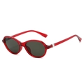 Oval sunglasses in red transparent frame with dark lenses and silver hinge detail - Regular / Regular (Incl. 13% VAT) Red Frame Grey Lenses
