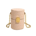 Chic mini pink ostrich textured cylinder chain bag with gold hardware for women - Beige