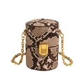 Mini cylindrical crossbody bag with natural snakeskin pattern and chunky gold chain - Snake Pattern Black