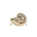 Golden nautilus shell acrylic evening clutch bag with metallic chain strap for women - Gold