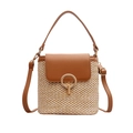 Straw bucket bag with brown leather trim and golden buckle on a white background - Tan