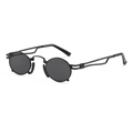 Retro round metal sunglasses with steampunk hollow double-line temples and black lenses - Black Frame Grey Lens