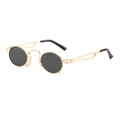 Retro steampunk round sunglasses with gold metal frame and dark gray lenses - Gold Frame Grey Lens