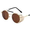 Steampunk gold metal sunglasses with round brown lenses and side mesh shields - Gold Frame Tea Lens