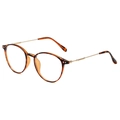 Detail of vintage round tortoise frames and slim gold metal temples with resin tips - Leopard Gold Frame Clear Lens