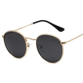 Classic round polarized sunglasses with gold metal frame and dark grey lenses - Gold Frame Grey Lens