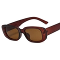 Lunettes de soleil rétro à monture épaisse rouge ambre translucide avec verres marron - Monture Thé Verres Thé