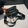Schicke schwarze Steppgürteltasche mit goldener Hardware und Nylon-Schultergurt - Schwarz