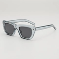 Modern polygonal sunglasses with light blue resin frames and grey polarized lenses - Translucent Grey Frame Grey Lens