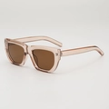 Stylish oversized polygonal sunglasses with transparent champagne frames and brown lenses - Transparent Tea Frame Tea Lens