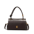 Dark brown leather handbag with vintage gold buckle and knot handle on white background - Brown