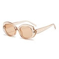 Petites lunettes de soleil ovales rétro avec monture thé transparente et verres marron clair - Monture Marron Clair Verres Marron Clair (C5)