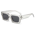 Lunettes de soleil carrées gris transparent avec verres gris foncé vue sous un angle de 45° - Monture Gris Clair Lentille Grise (C6)