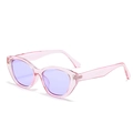 Occhiali da sole cat-eye rosa con lenti viola e montatura retrò trasparente da donna - Montatura Viola Chiaro Lenti Viola