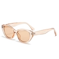 Cat eye sunglasses with transparent champagne frames and light tinted lenses - Light Tea Frame Tea Lens