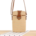 Beige woven straw cylinder bag with brown leather trim and golden metal lock - Light Brown Striped