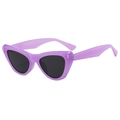 Cat eye fashion sunglasses with purple frame and black UV protective lenses for women - Jelly Purple Frame Grey Lens