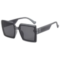 Modern square semi-transparent grey matte sunglasses with dark smoke lenses and wide arms - Standard Size (B03 Z-2) / Matte Clear Grey