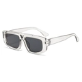 Cat-eye sunglasses with transparent frame and dark gray lenses featuring metal V detail - Transparent Gray Frame Black Gray Lens (C4)