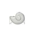 Elegante pochette a forma di conchiglia bianco crema con catena argento e trama a spirale - Argento