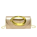 Detailed view of champagne gold evening clutch with round metal handle and chain strap - Gold